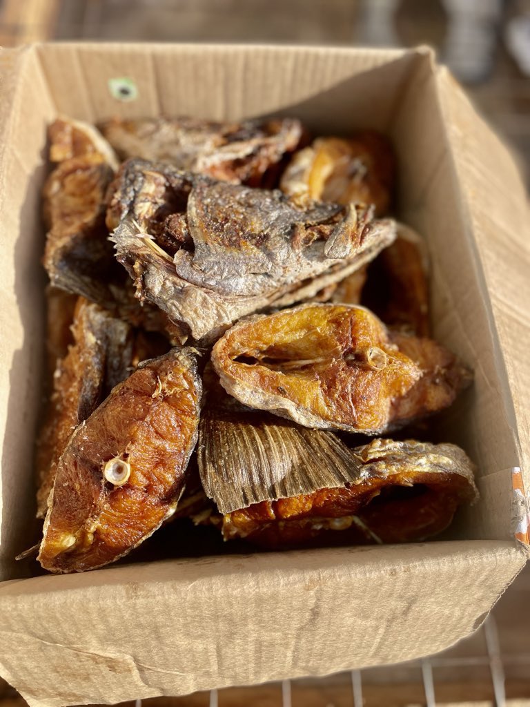 IAmHaule tweet media