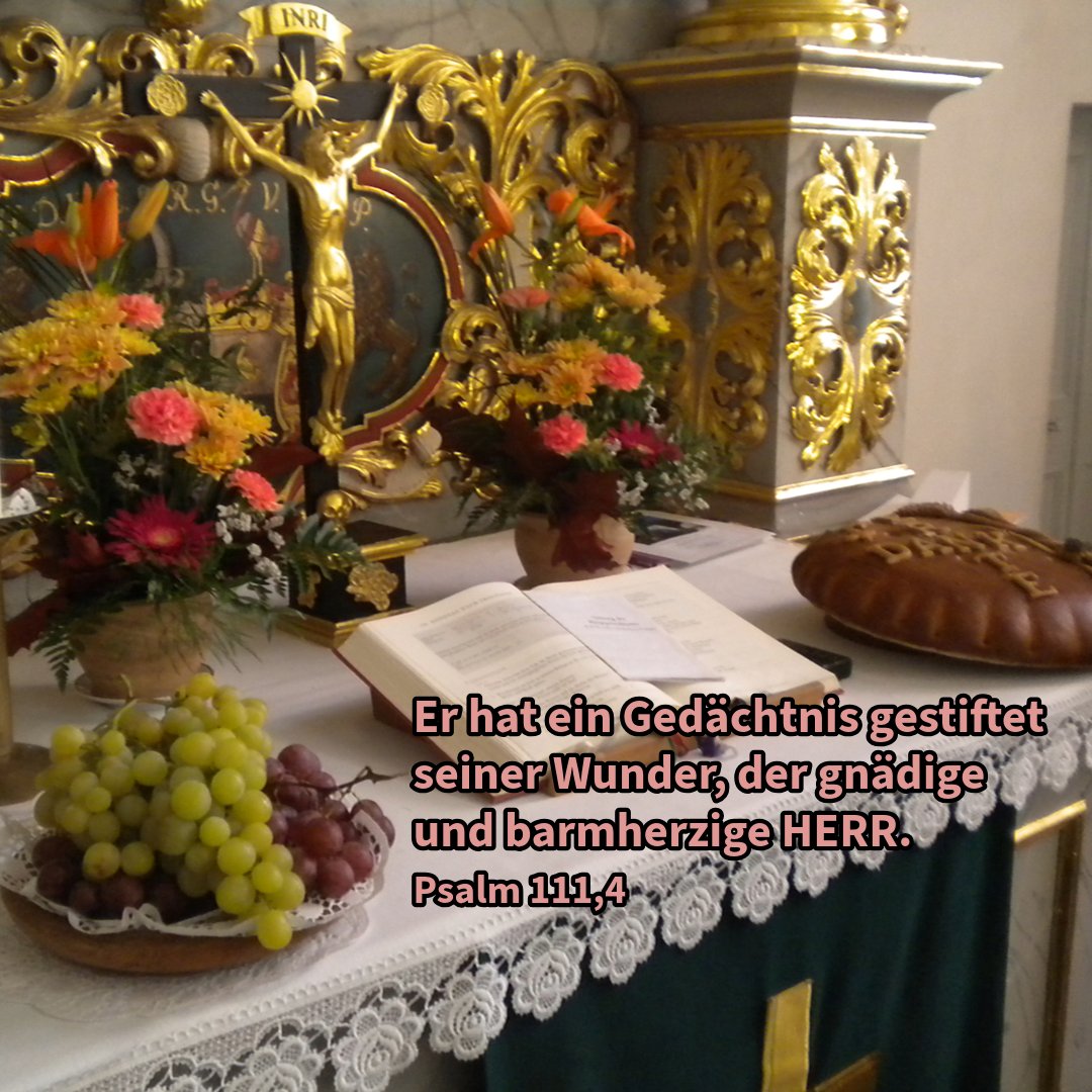 Jörg Bachmann tweet media