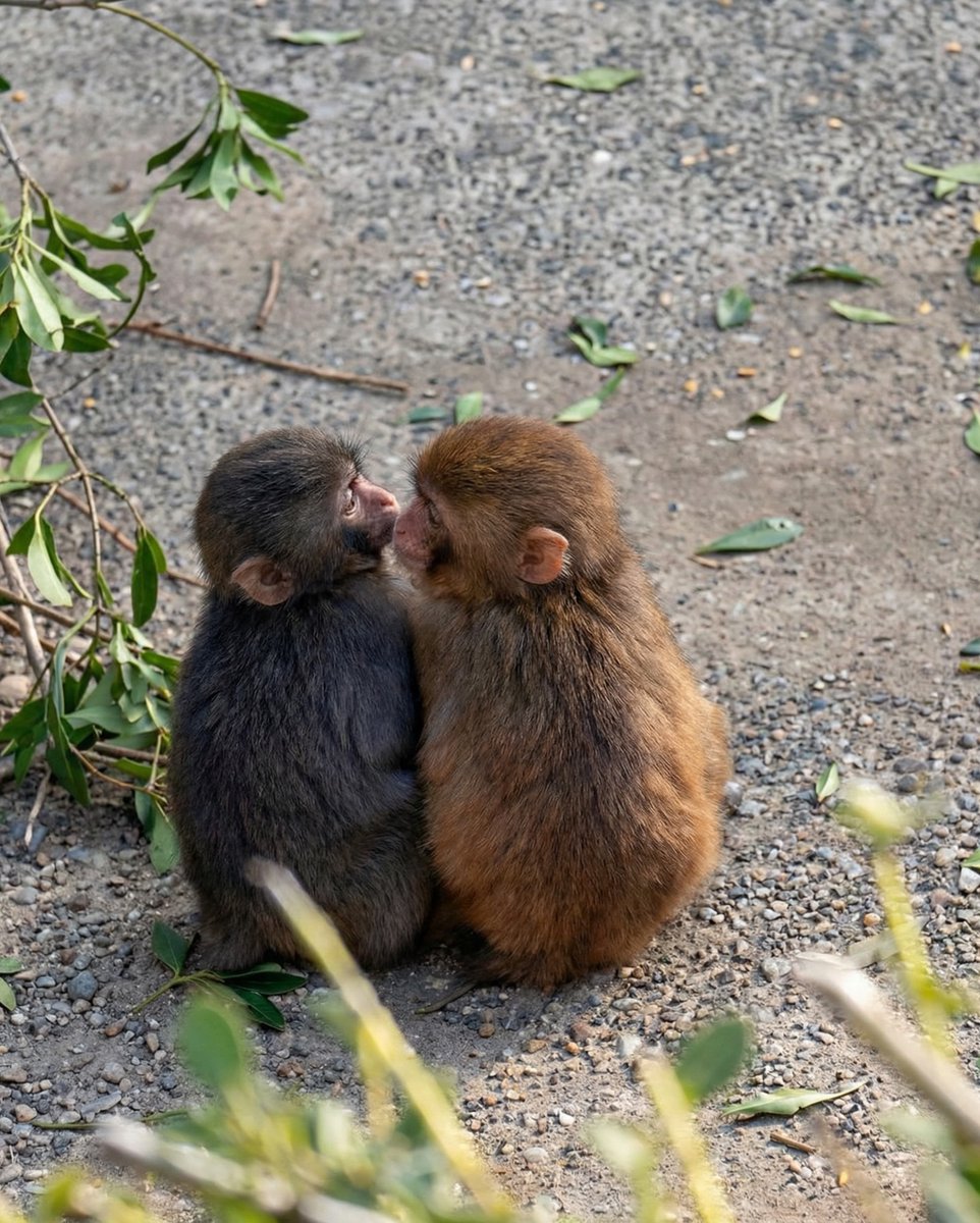 MABS🥃🏝️ tweet media