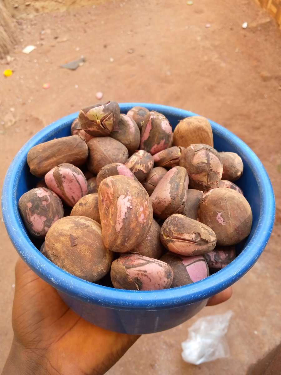 Onwa_Nnewi tweet media