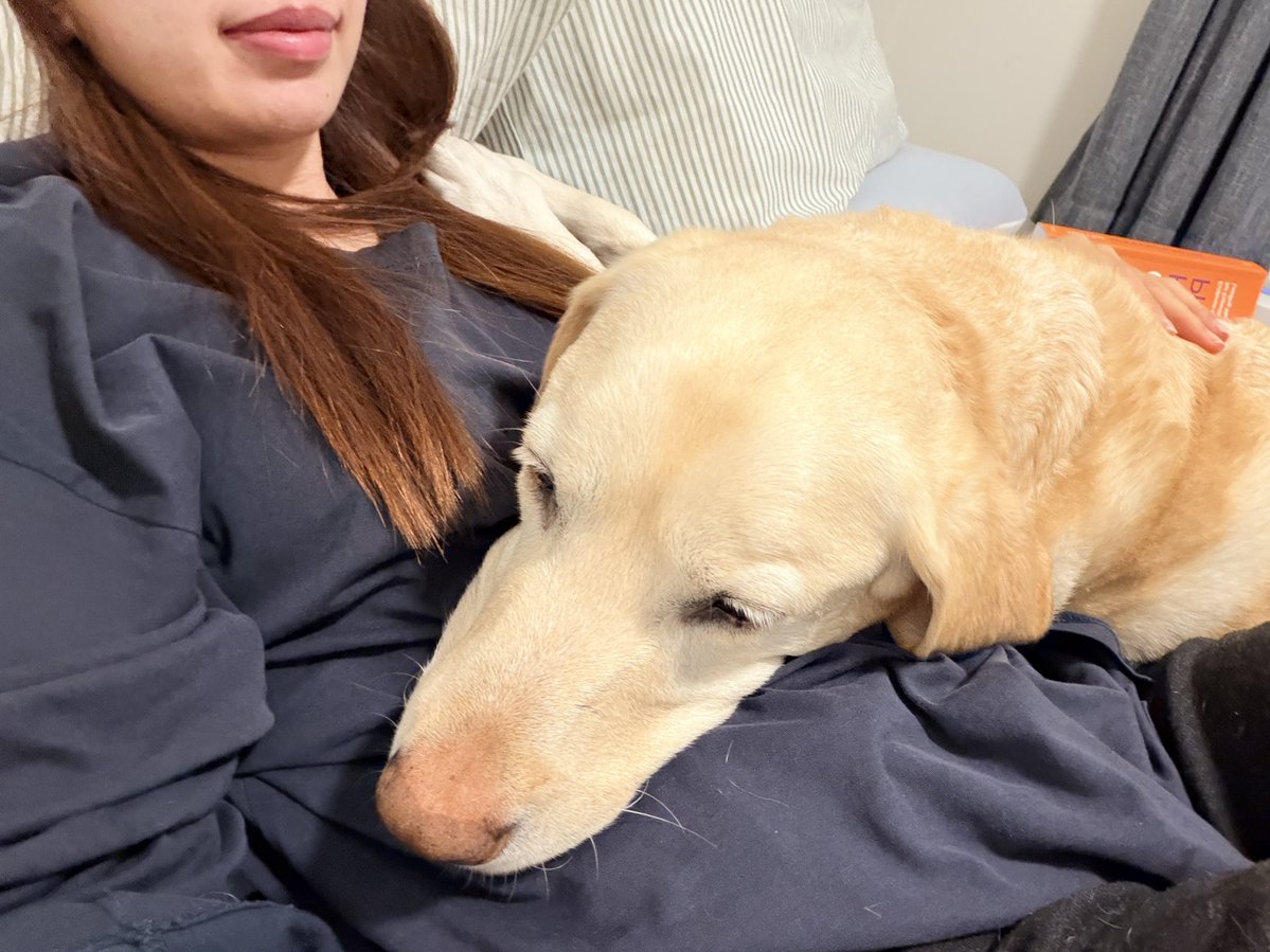 mieisgood's tweet image. この度、人生ステップアップする事にした👶🏻！
#IVF #Soda可愛い