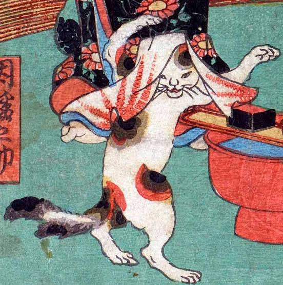 熱海 Muddy Cat tweet media