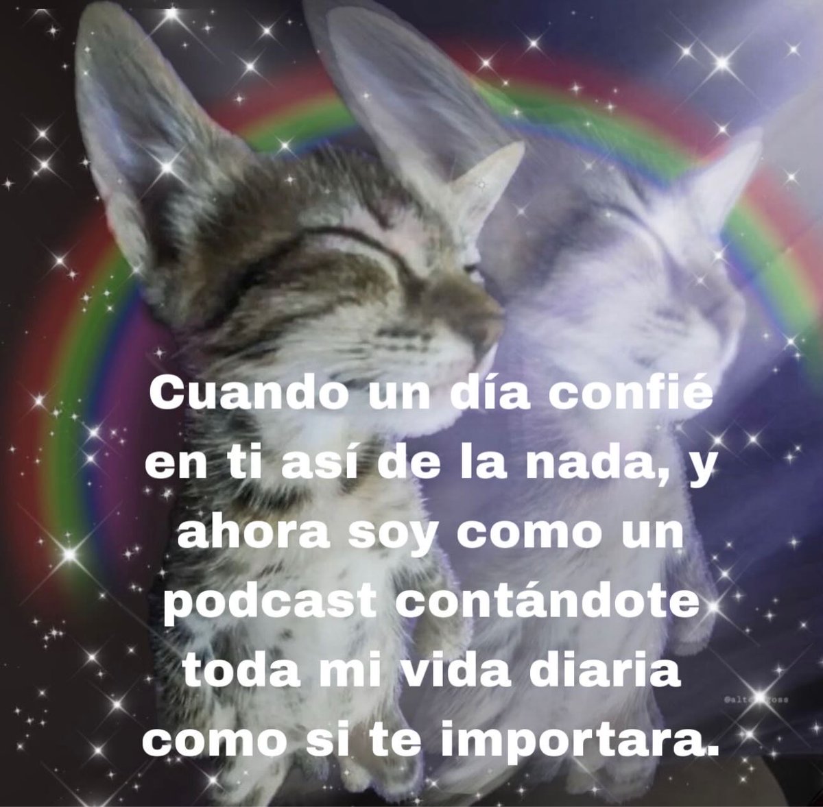 Mundo de Bigotes tweet media