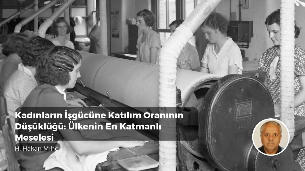Katman Portal tweet media