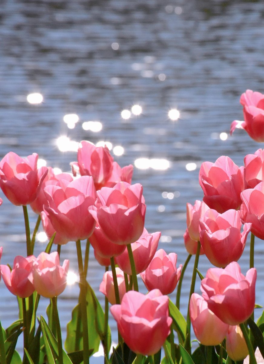 Traveller Cathy tweet media