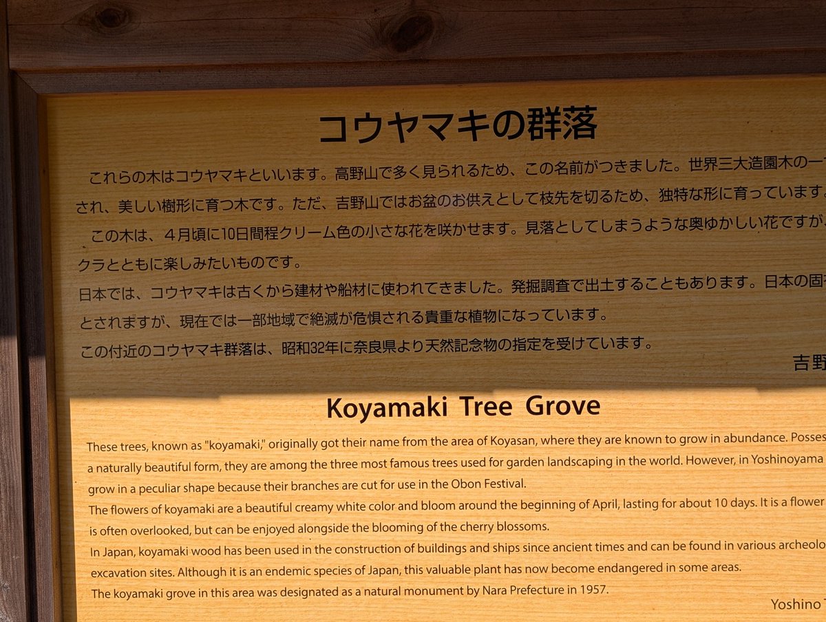 扶余と飛鳥 tweet media