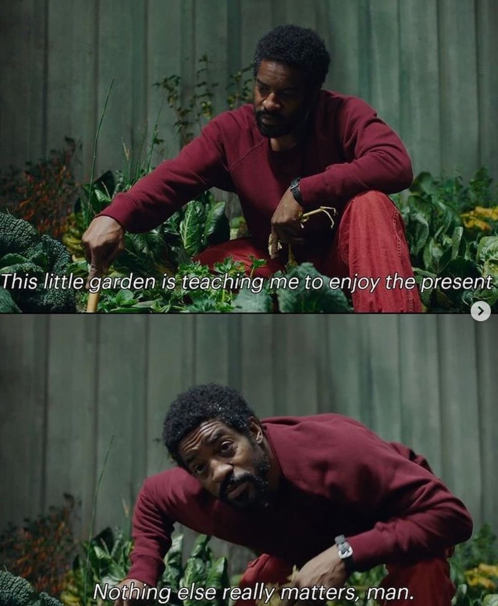 the culture | magazine tweet media