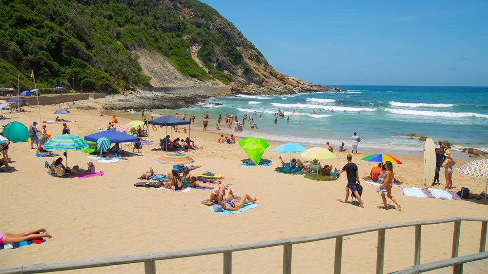 MosselBay Advertiser tweet media