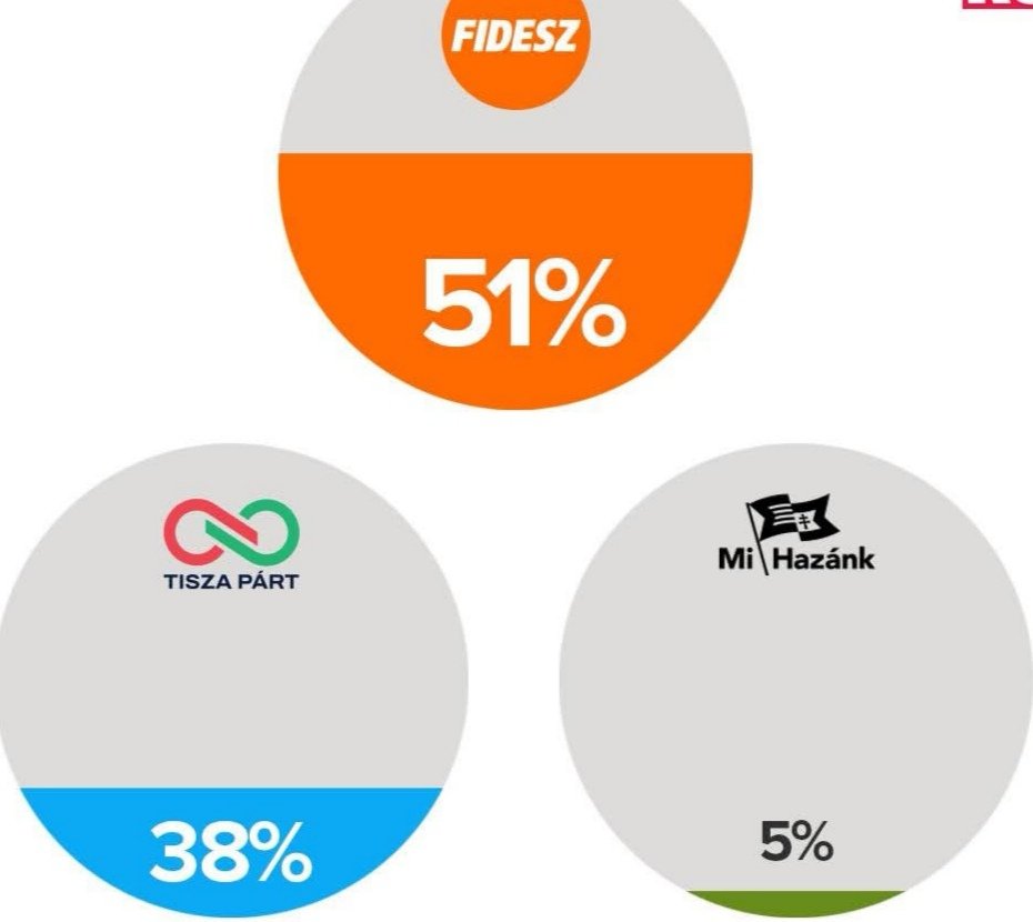 Katalin Dani tweet media