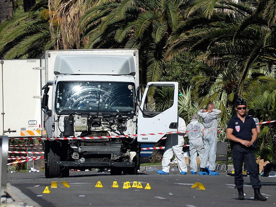 ℂ𝕠𝕞𝕞𝕒𝕟𝕕𝕖𝕣𝕋𝕠𝕣𝕖𝕟𝕟 ✨ tweet media