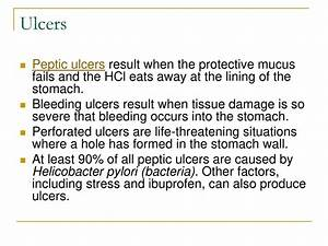 Laura Wood Christian 💞🕊️✝️💞👰🎩💒💞 🐾💞 tweet media