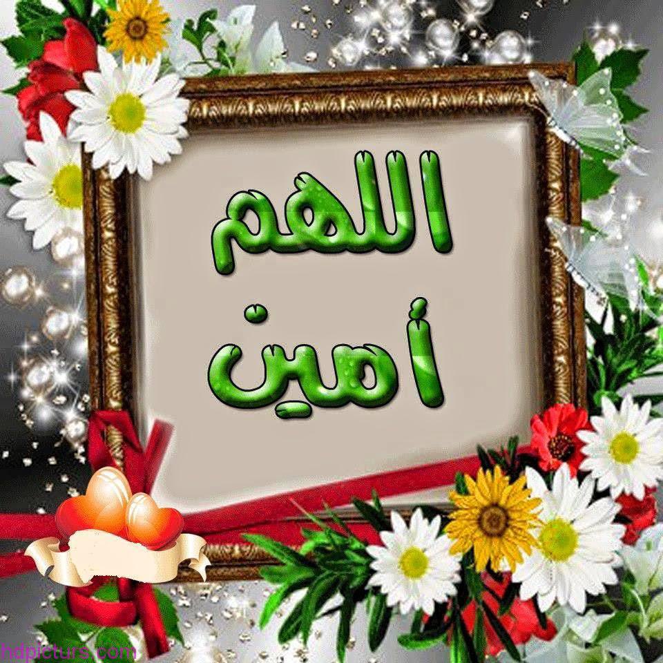 جمال الامارات tweet media