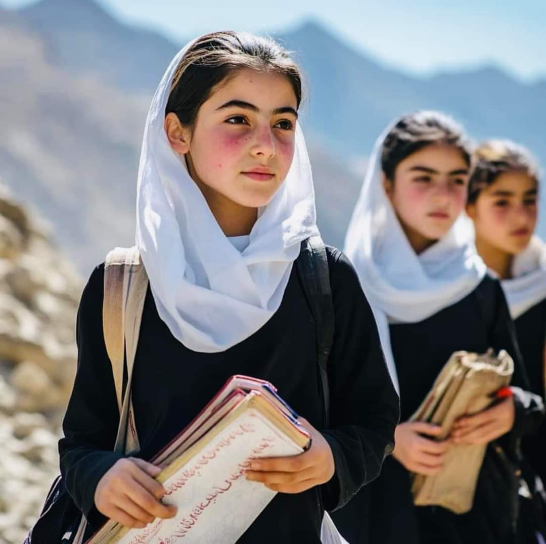 Feson Shokoory tweet media