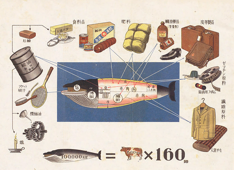 masaji👉レトロ道民 tweet media