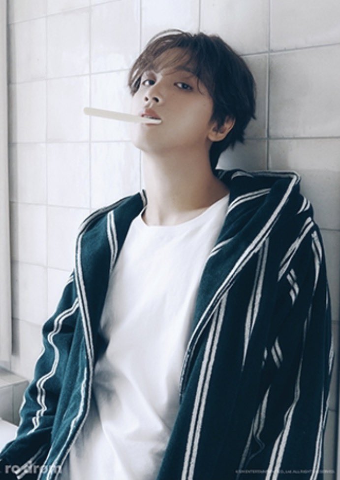 라미｡ tweet media