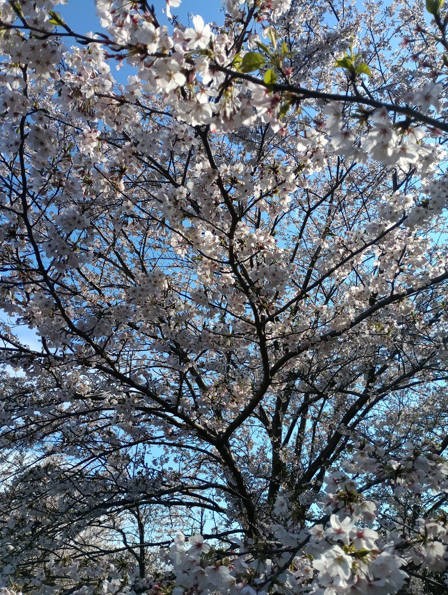 志位和夫 tweet media