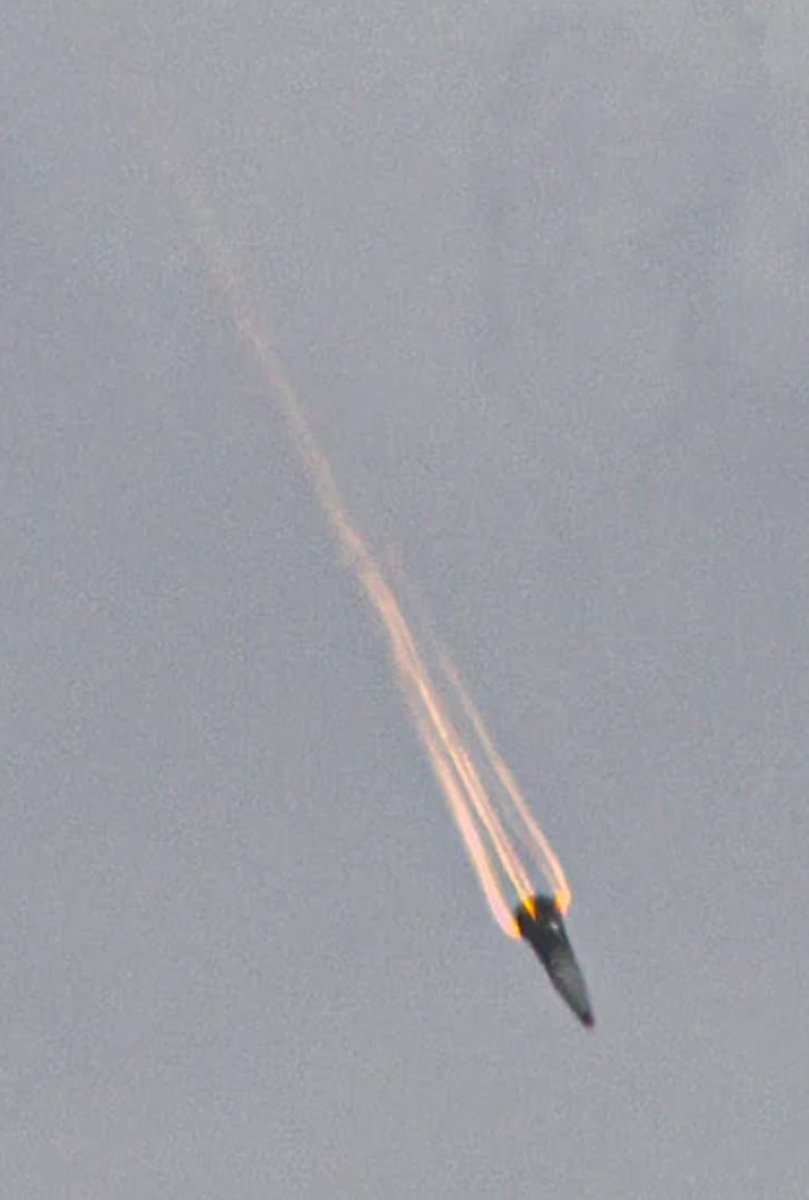 Fercargut tweet media