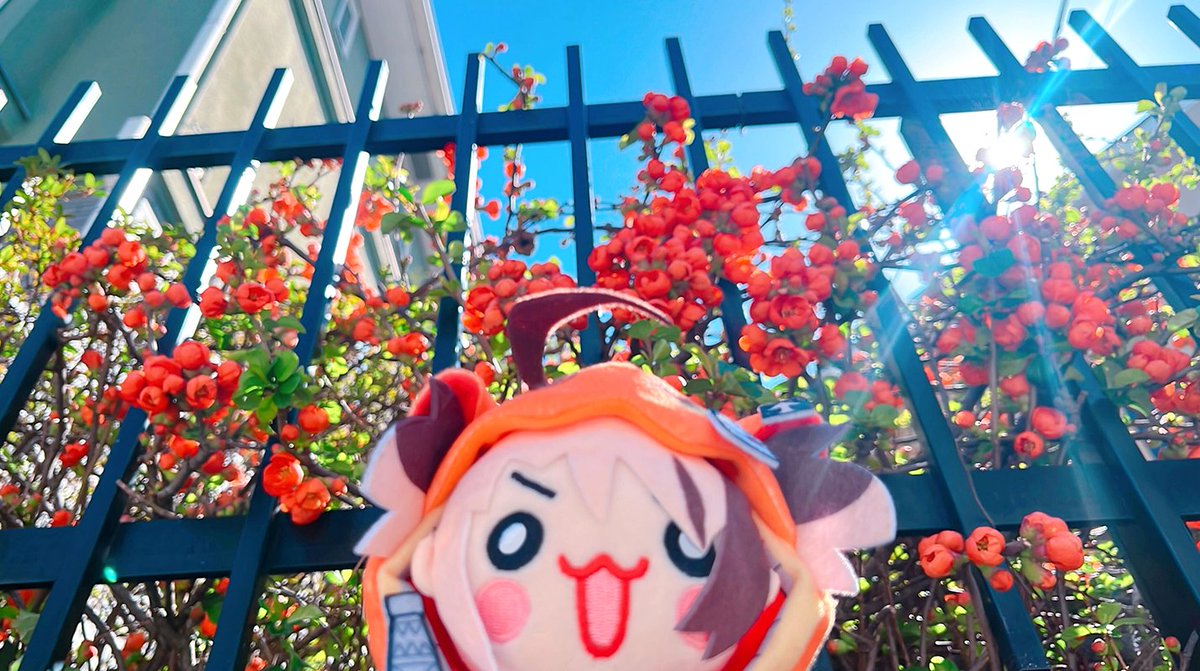 もあちょす tweet media