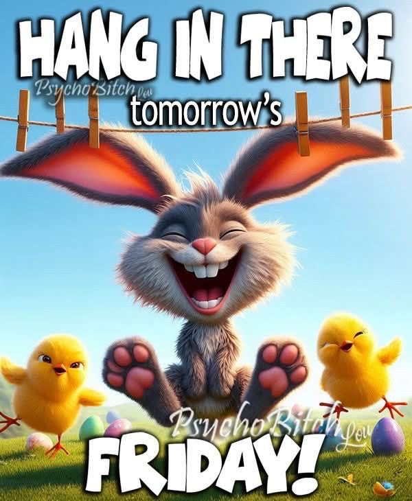 Stephanie tweet media