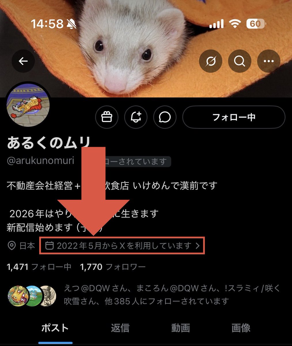 まお@Nリーグ運営 tweet media