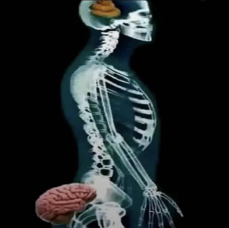 🪼⋆.⋆enha7always.ೃ࿔*:･ tweet media