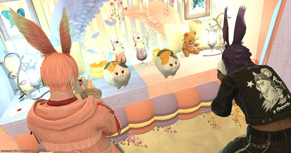 エリオット@ファットキャットのテンパード tweet media