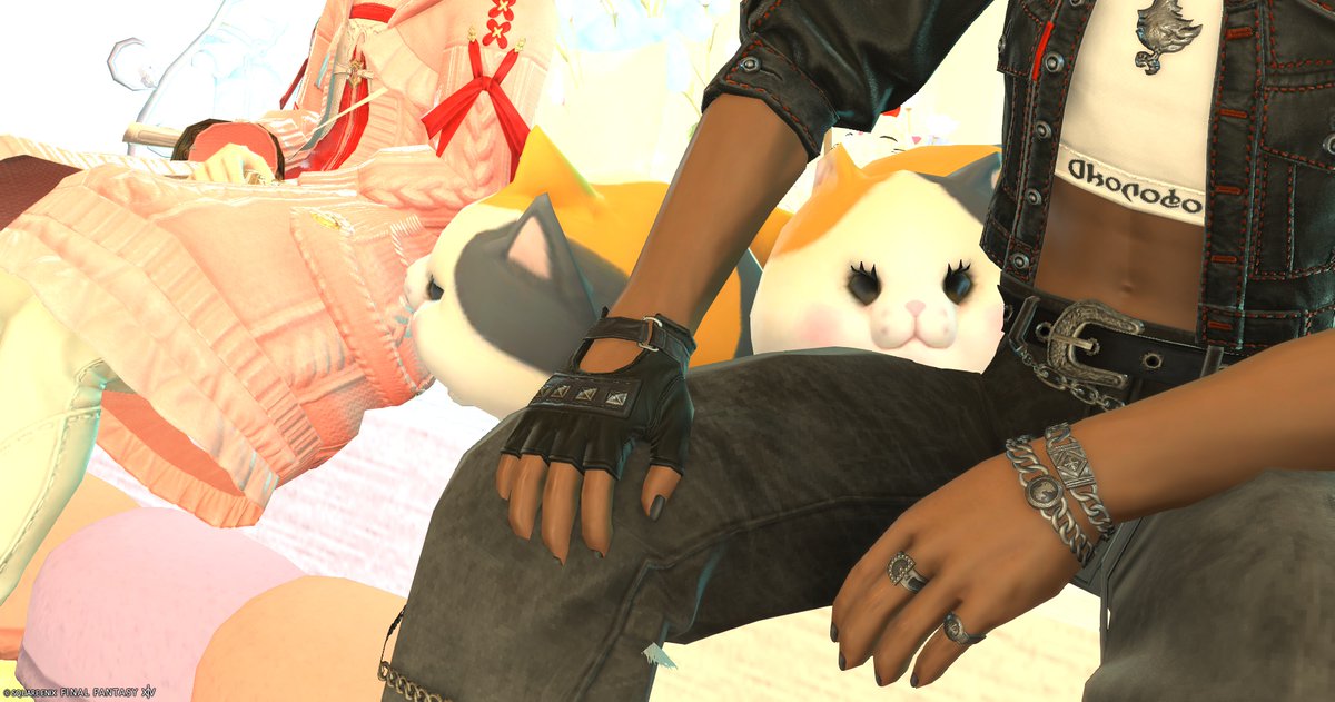 エリオット@ファットキャットのテンパード tweet media