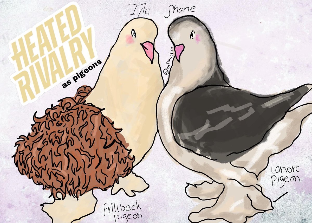 bear | mutlifandom tweet media