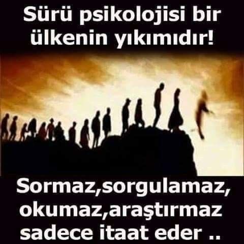 Rain Man⚖️ tweet media