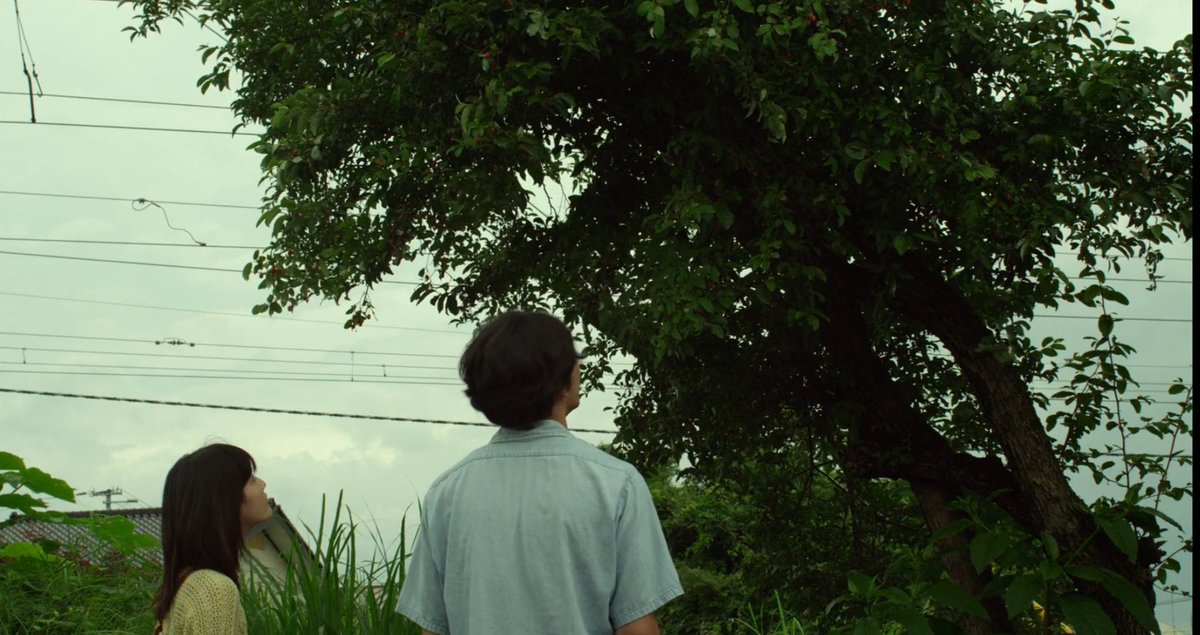 ᴀᴍᴀɴɪ. tweet media