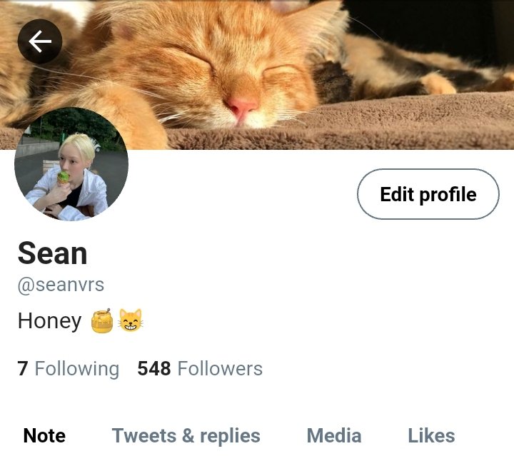 ikue_shin48913's tweet photo. — a #winrina/#jiminjeong au

Honey who???

When Sean’s (w) cat, Honey, loves his malditang neighbor more Phoebe (k), who doesn’t like cats at all. https://t.co/9YDbN4Xdqb