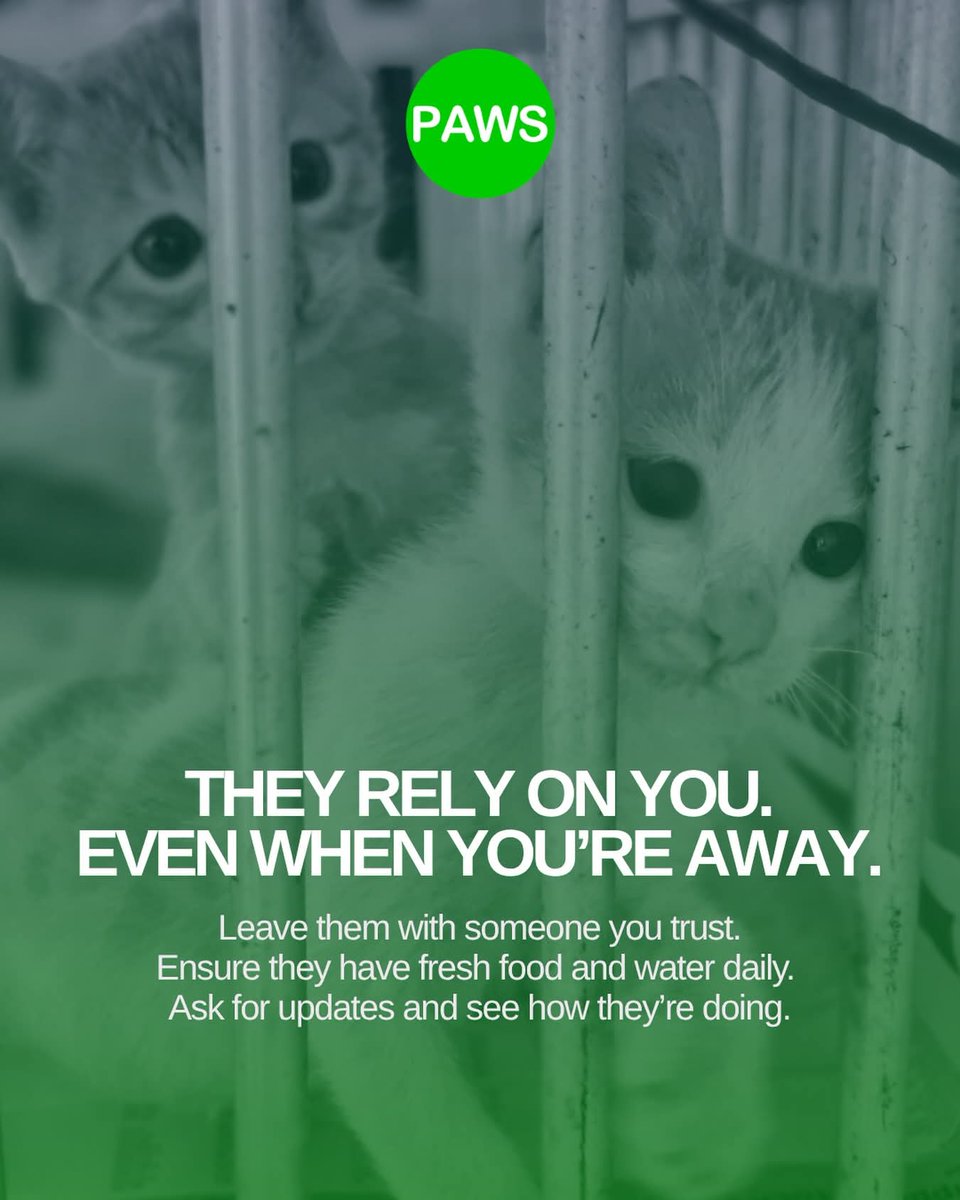 PAWS Philippines tweet media
