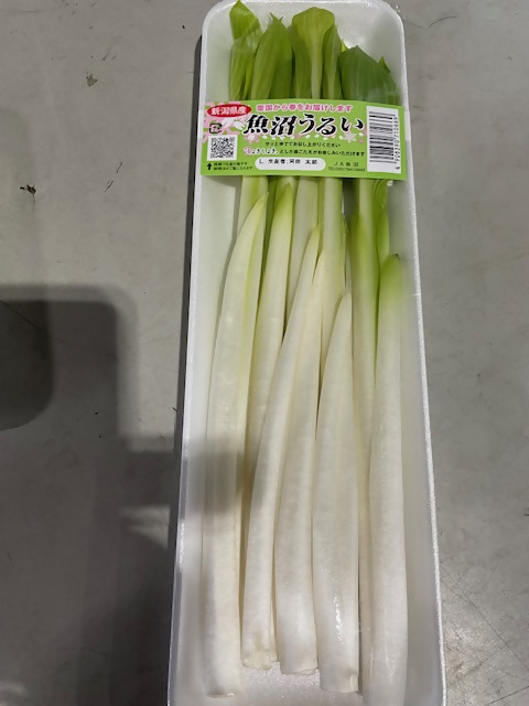 honjo222's tweet photo. ☆うるい☆
うるいは春の山菜で３月～５月ごろに食べられます。
柔らかくてシャキッとした食感が特徴で、お浸しや酢味噌和えがオススメですが、とってもみずみずしいので生のままサラダでも食べられます。
あまり出回らないそうなので、見つけた際はぜひお試しください！
#名古屋市中央卸売市場本場 https://t.co/Ta7CRwOgiF