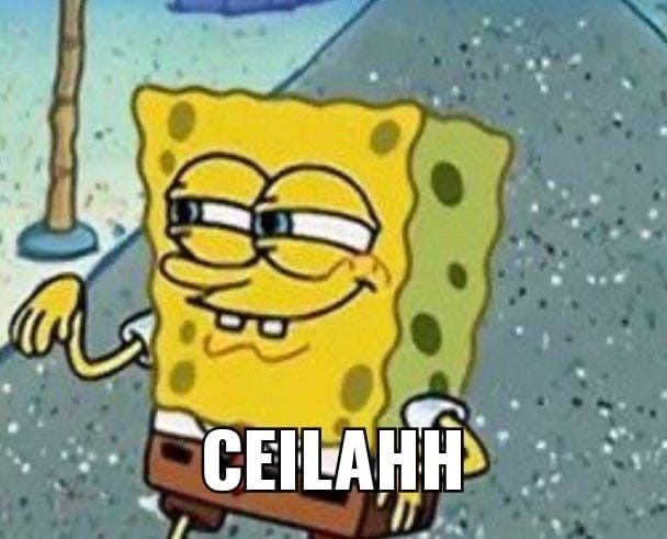 추영우 tweet media