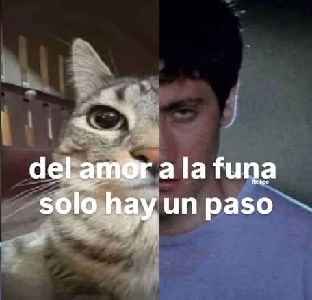 Génesis Bastidas tweet media