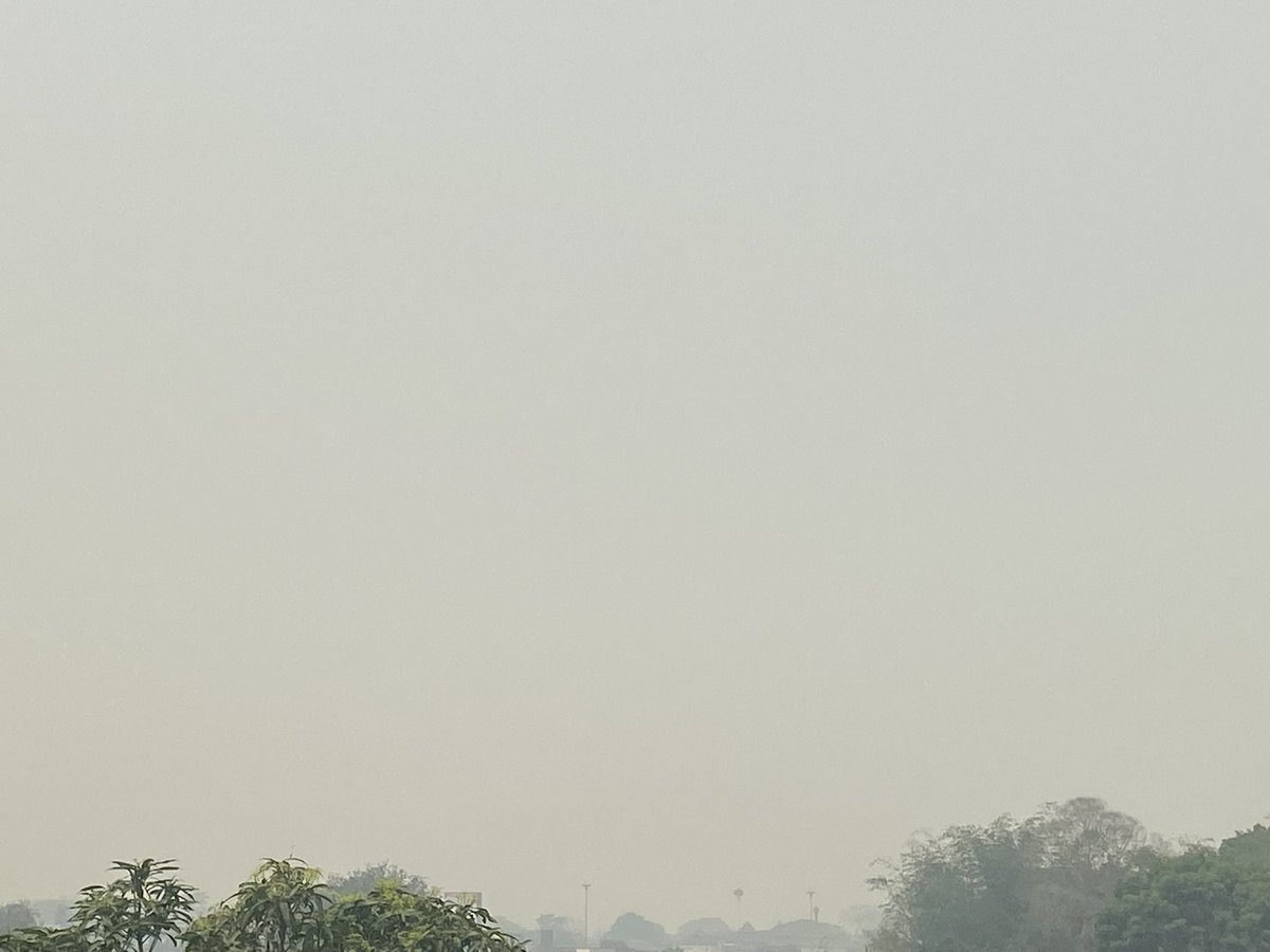 비티 ✿ tweet media