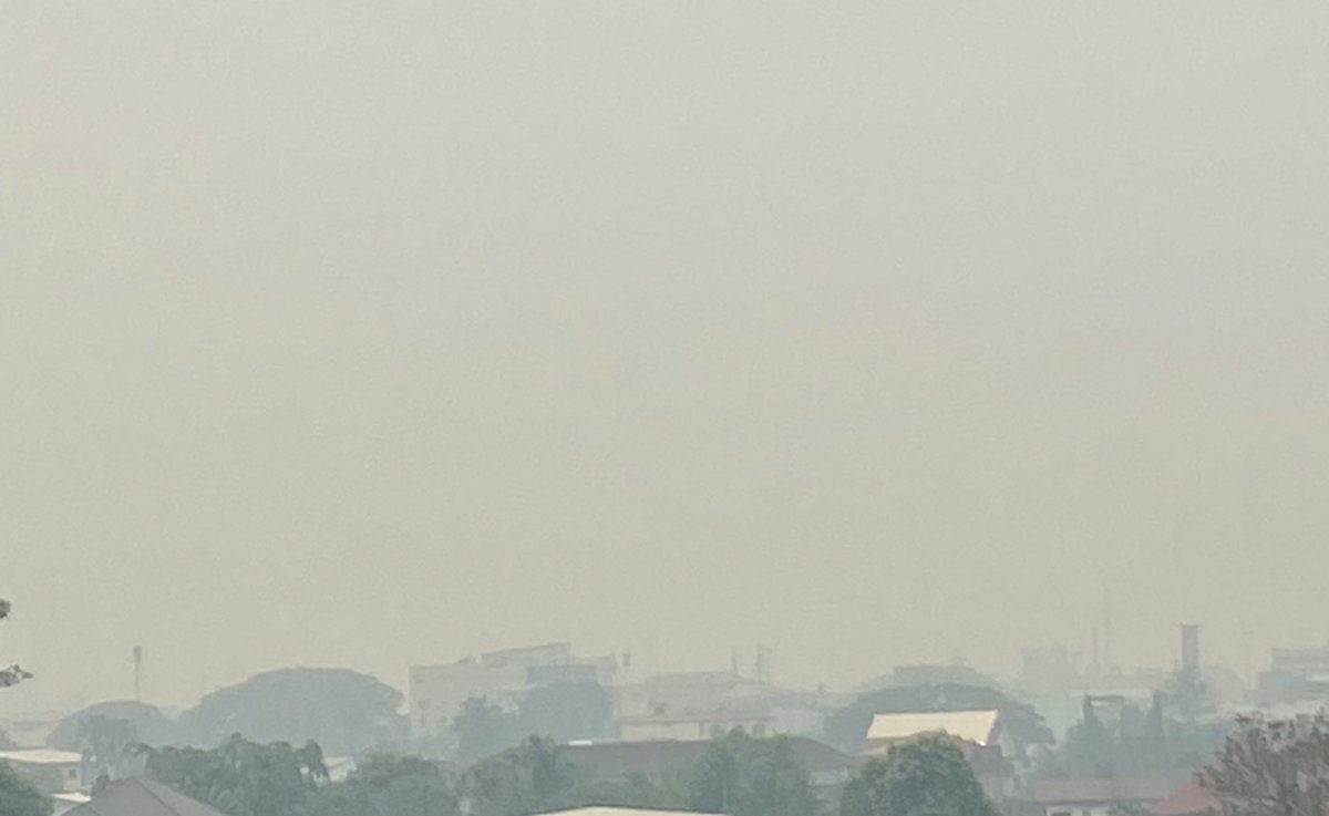 비티 ✿ tweet media