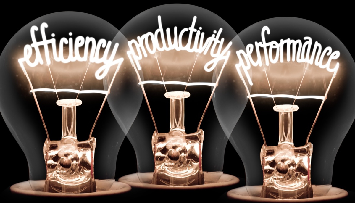 AMALosAngeles tweet media