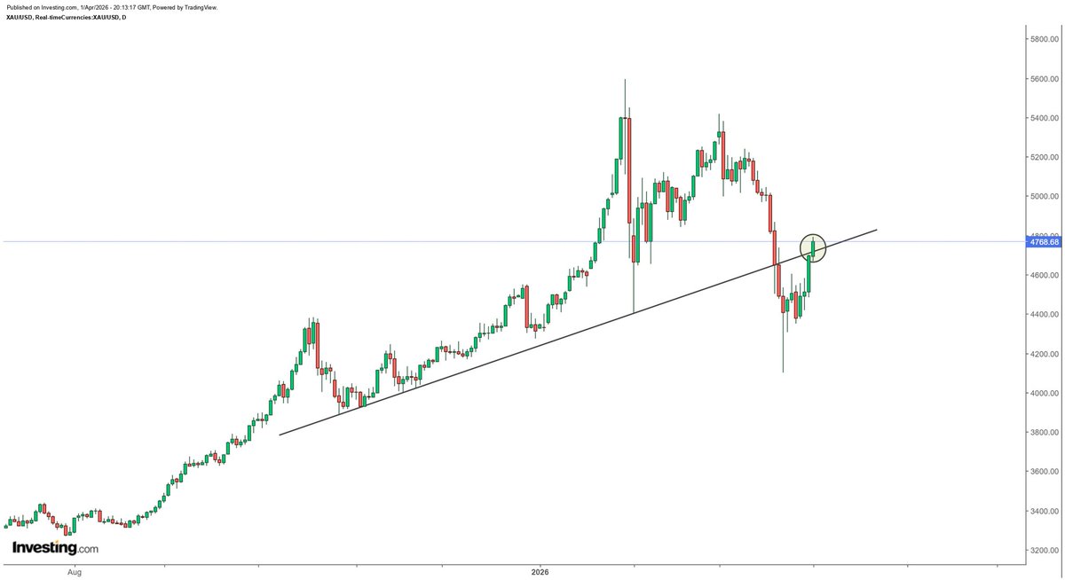 Tomas Dolega tweet media