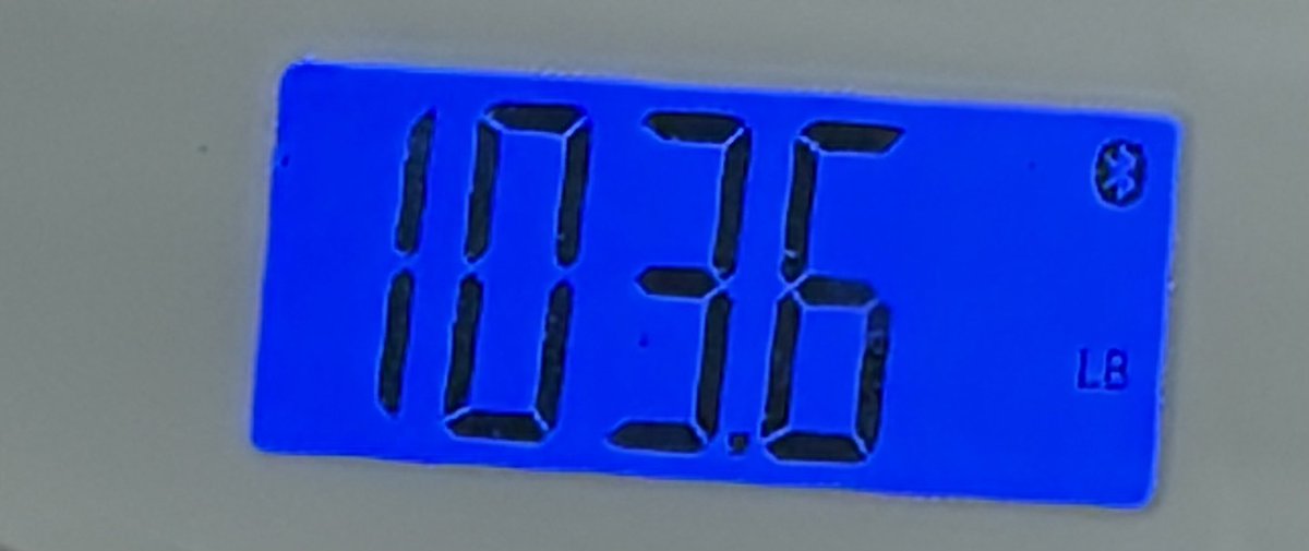 juniper 🐾 || FAT FAT FATTY tweet media