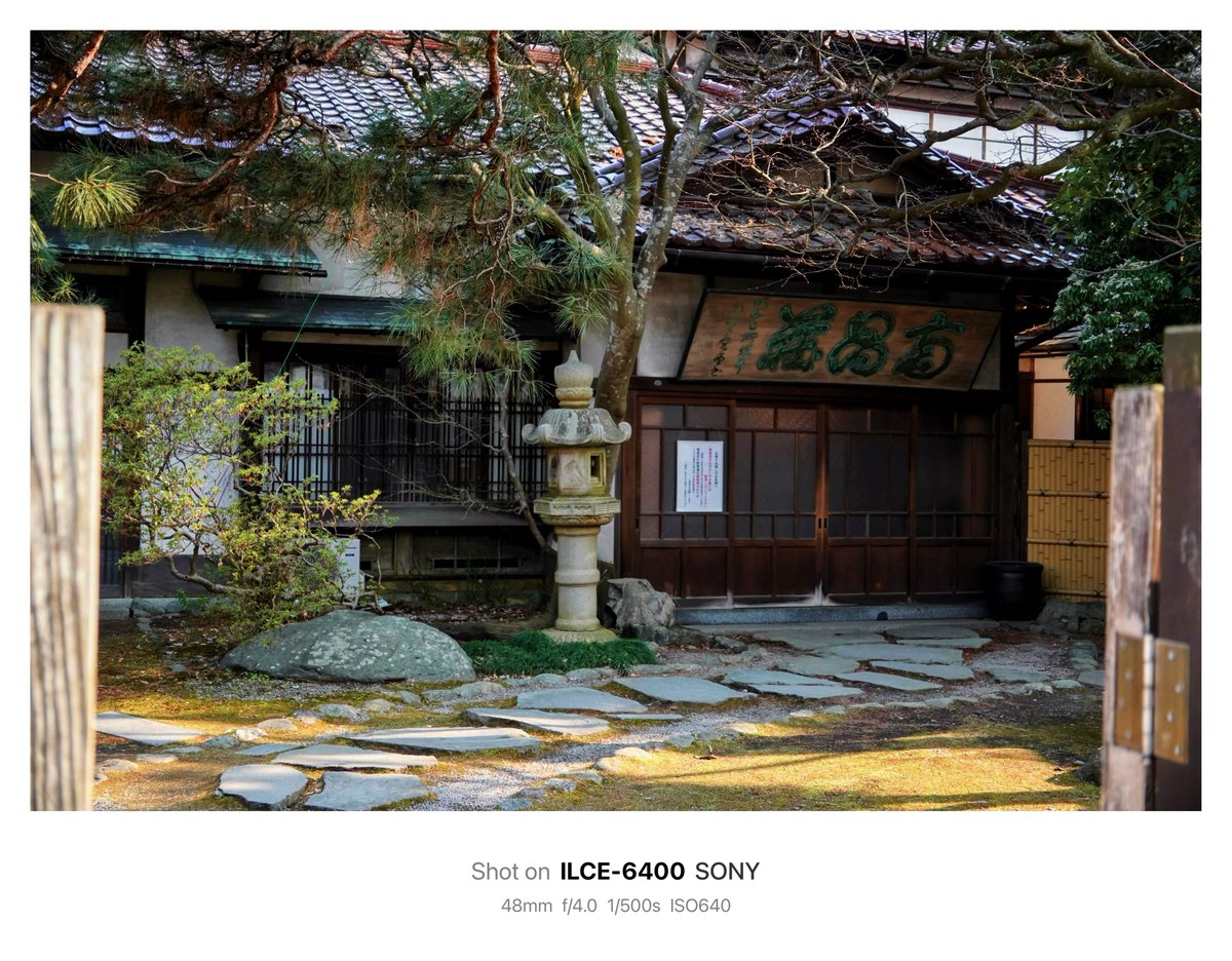 晴芽 ハルメ 🌱 tweet media