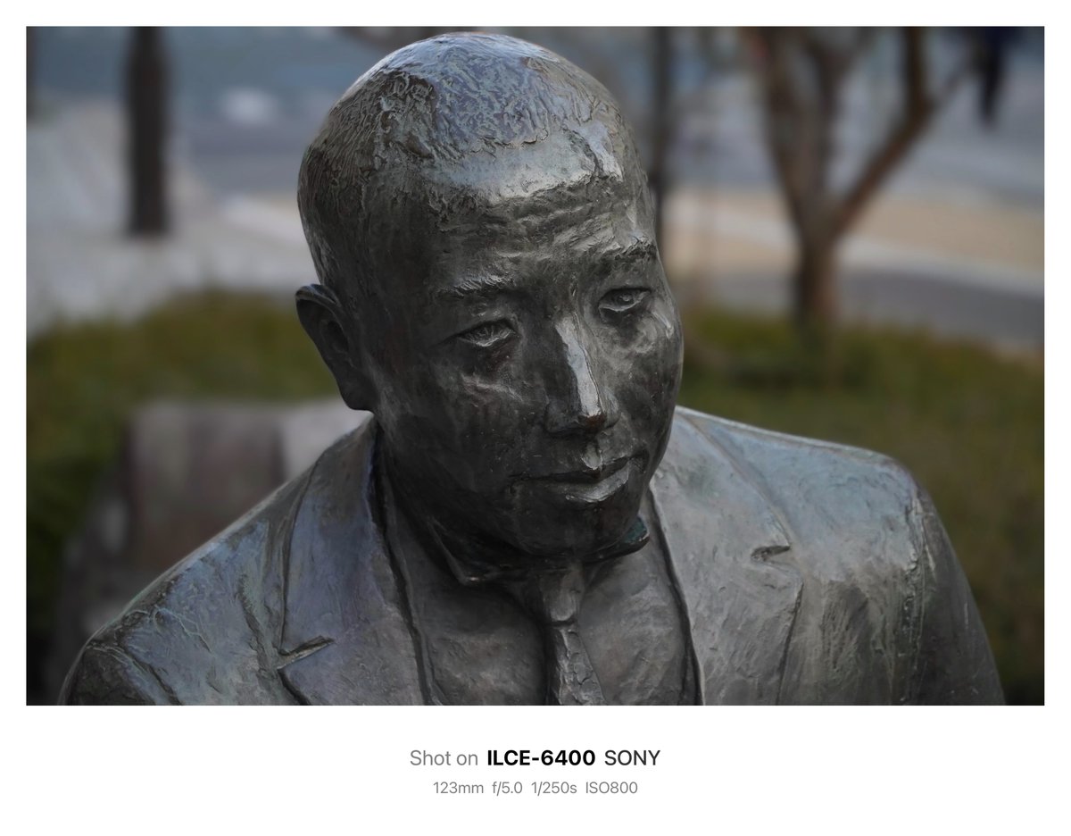 晴芽 ハルメ 🌱 tweet media