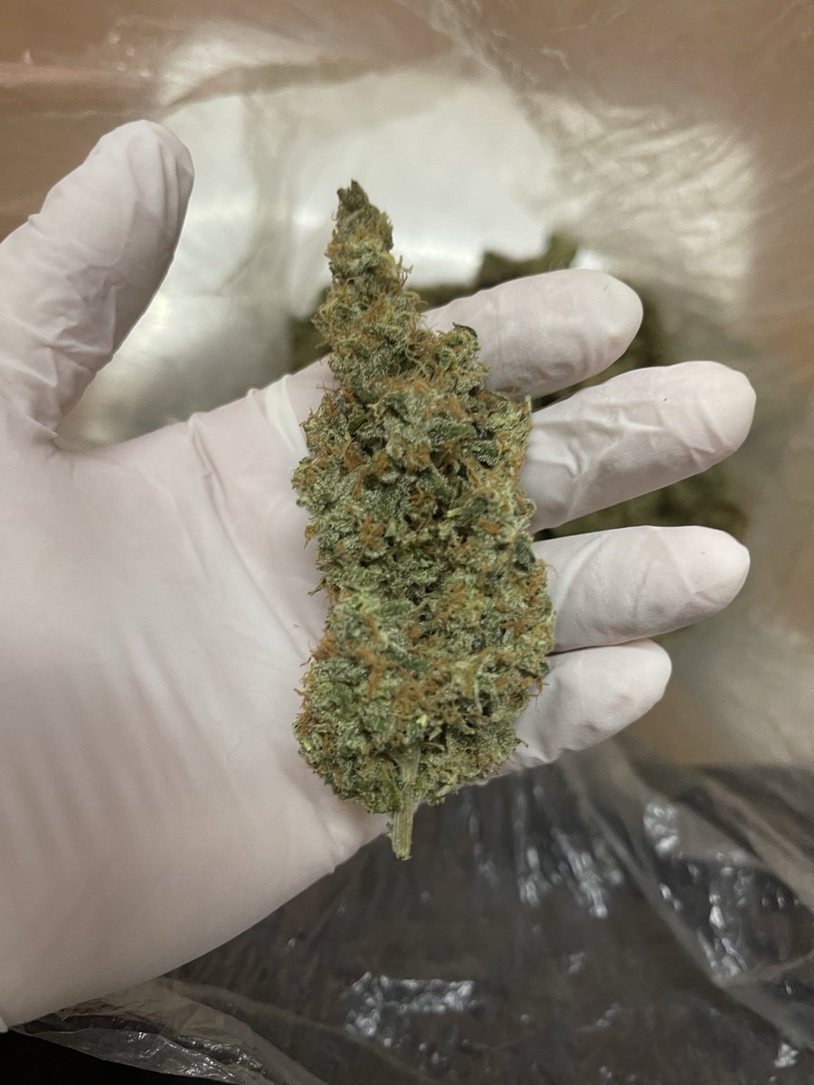 大麻屋サンくん@チェンマイ🇹🇭 tweet media