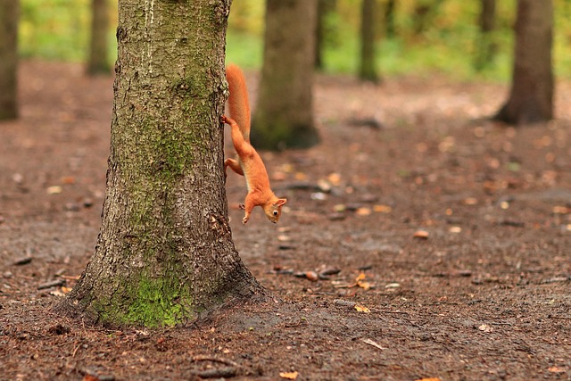 Tara Hawkins tweet media