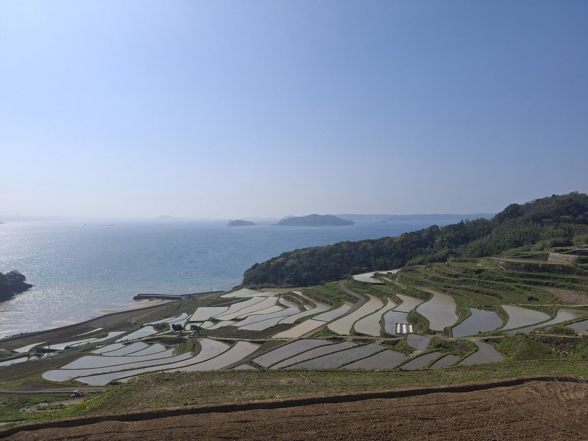 田植えｽﾃﾝﾊﾞｰｲ（松浦市福島町土谷棚田）