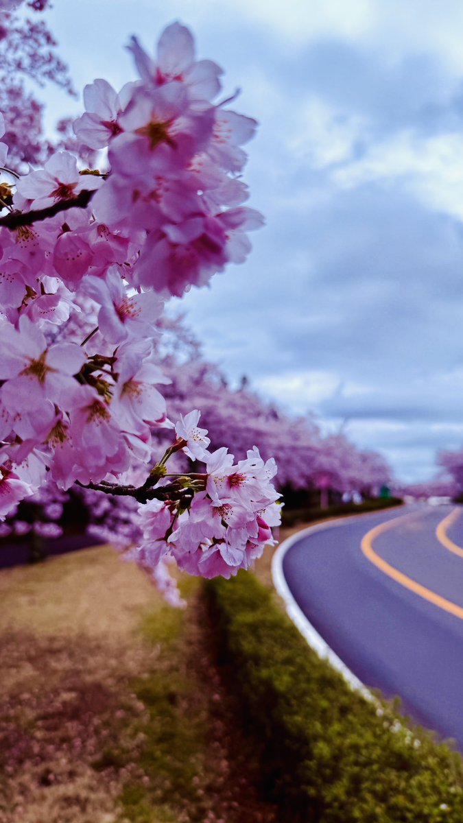 モビリティリゾートもてぎ公式 tweet media