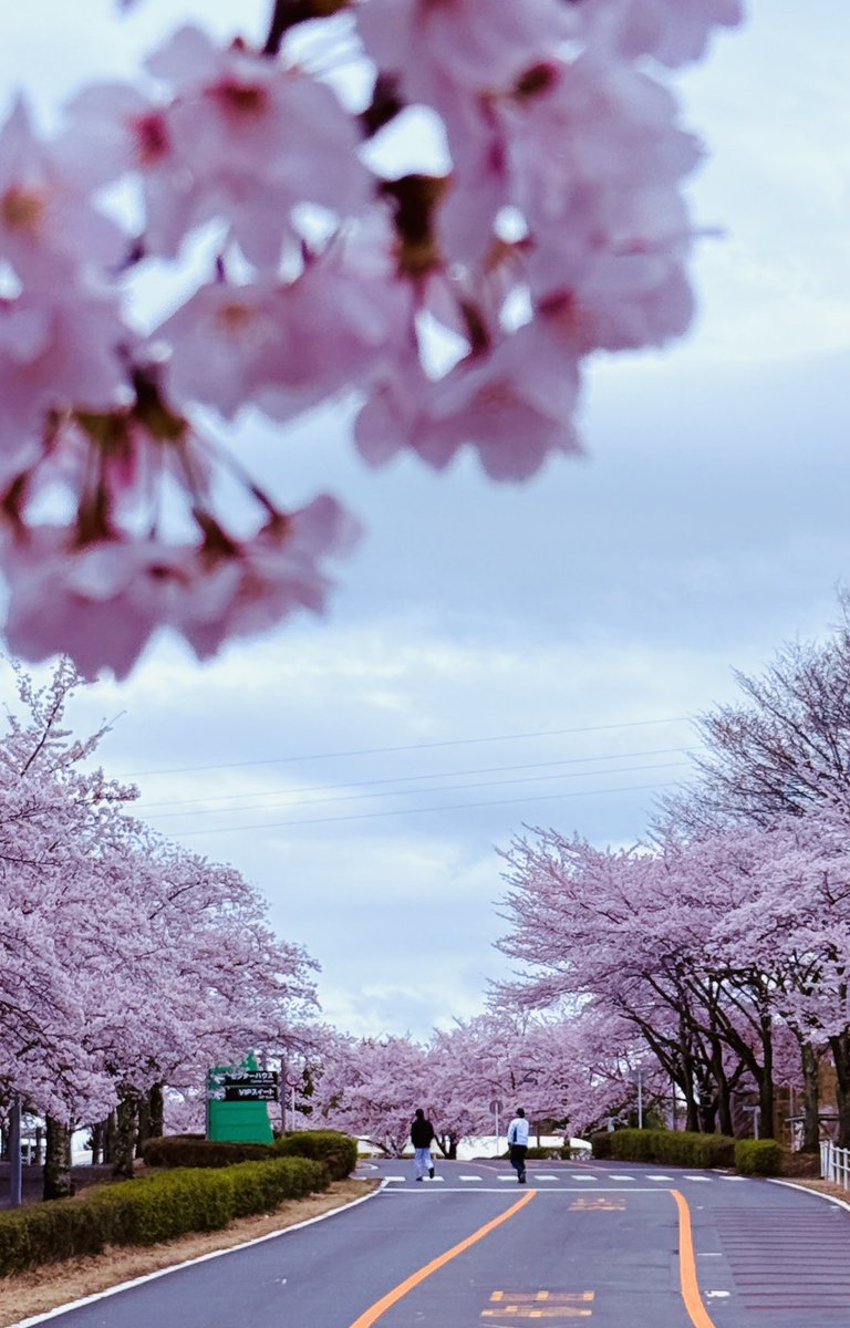 モビリティリゾートもてぎ公式 tweet media