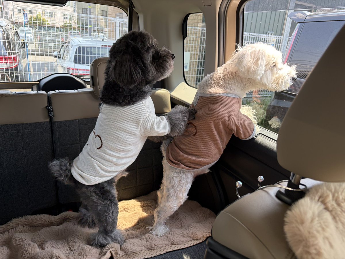 ほしみ tweet media