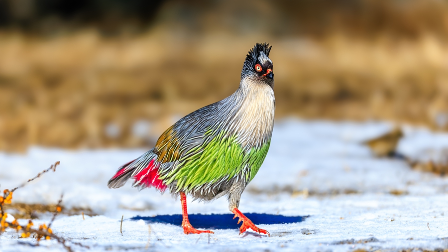 Beautiful China tweet media