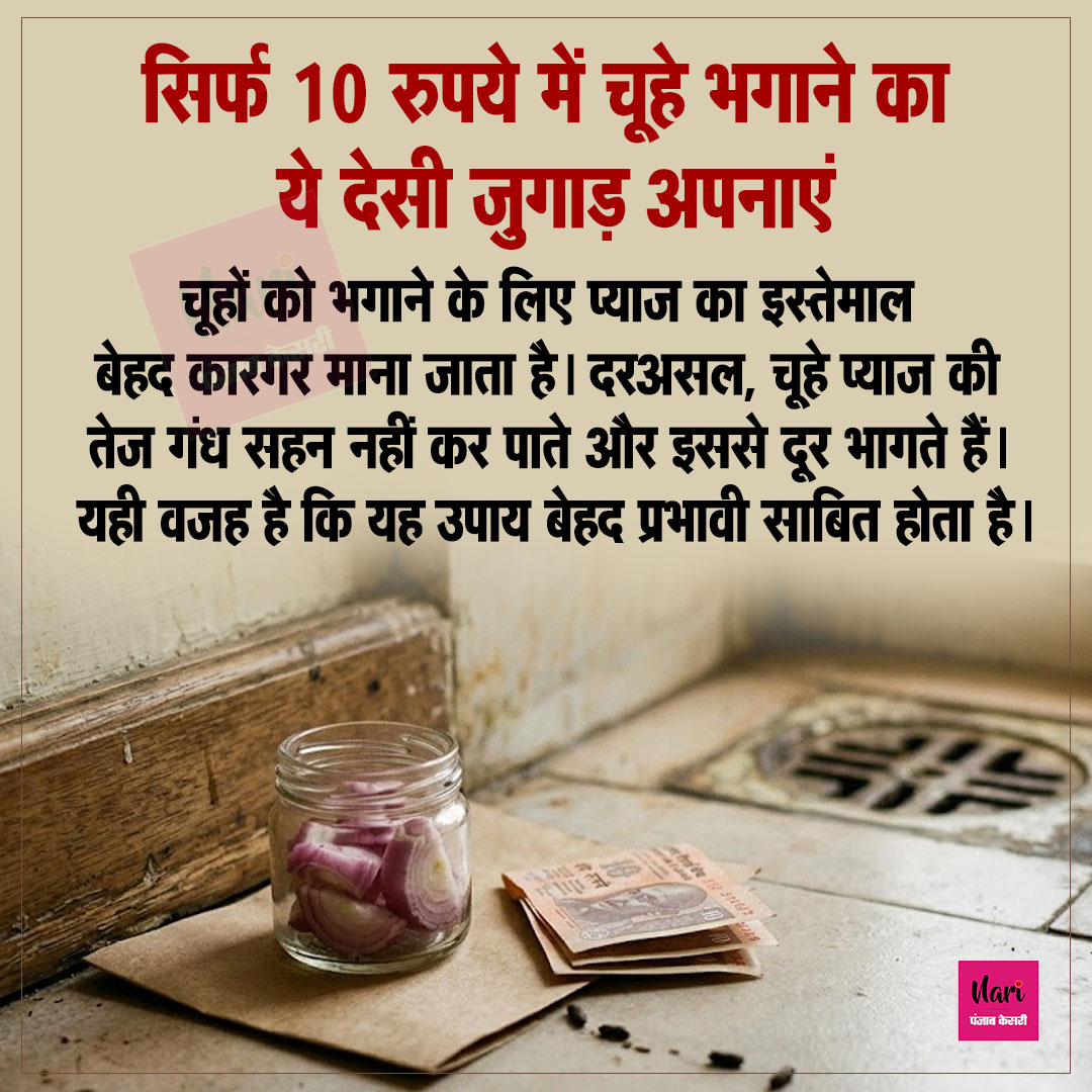 NariKesari's tweet image. सिर्फ 10 रुपये में चूहे भगाने का ये देसी जुगाड़ अपनाएं

#homehacks #RatRemedy #OnionHacks #KitchenTips